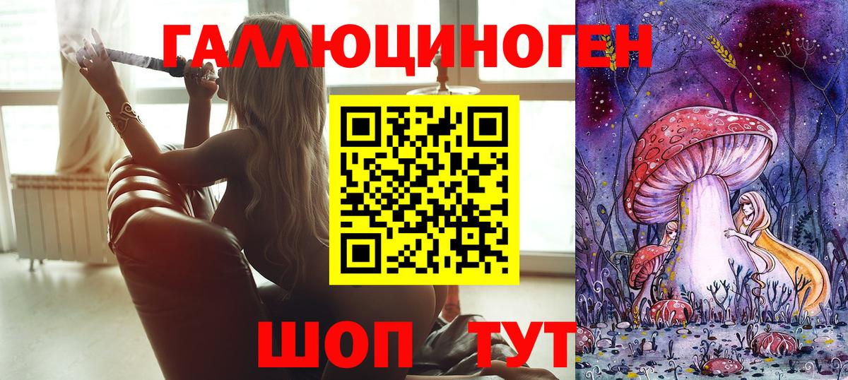 Галлюциногенные грибы Psilocybe Каспийск