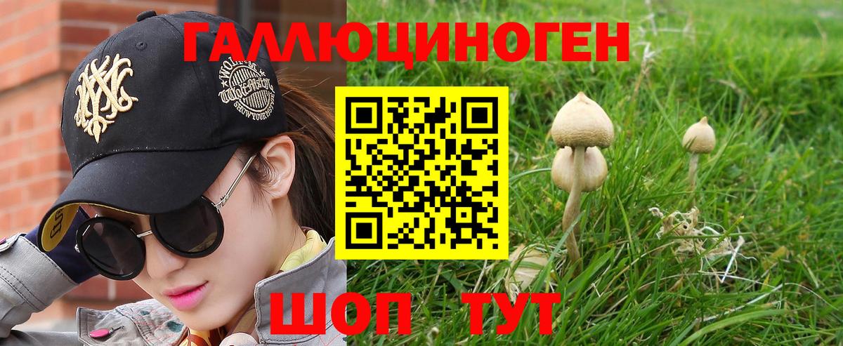 Каспийск  Псилоцибиновые грибы мухоморы  Вход с VPN 